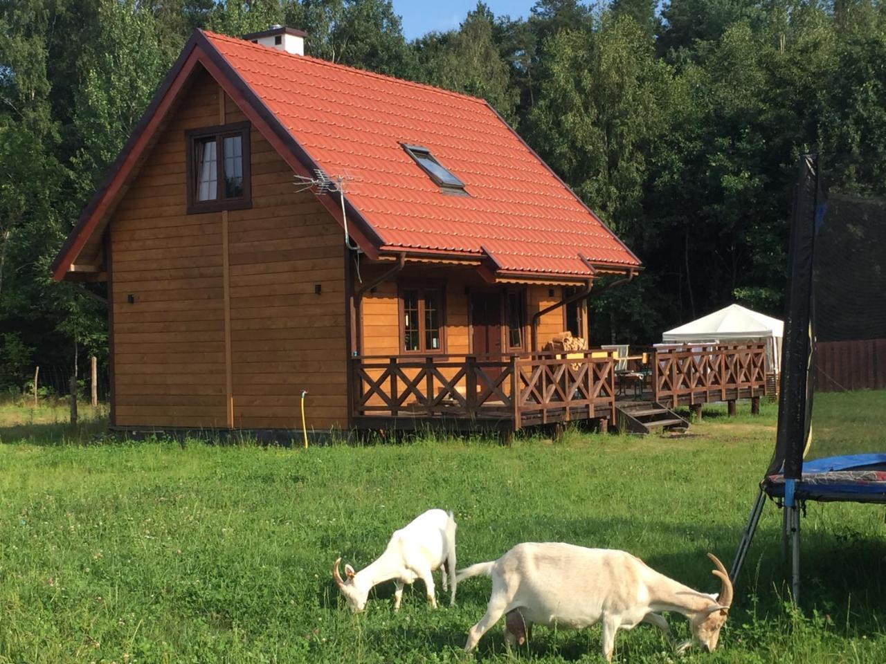 Вилла Wypoczynek Na Mazurach U Sebka Лукта Экстерьер фото